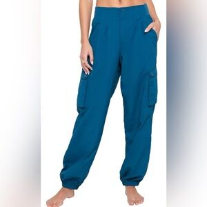 Spiritual Gangster Taylor Cargo Pants in Blue Topaz Size Medium NWT